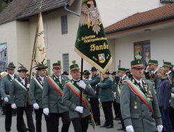 sf sonntag 2024029